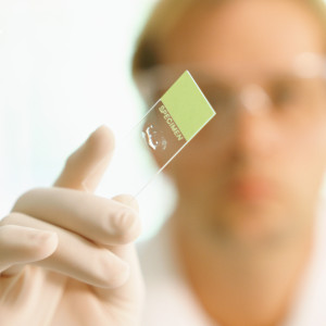 Researcher holding up specimen slide, (focus on slide)