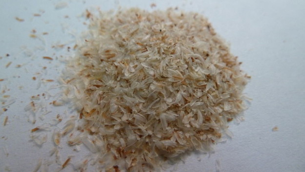 800px-Psyllium_seed_husk_pile