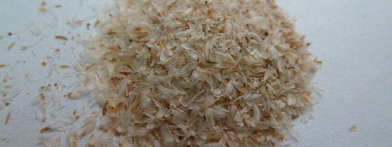 800px-Psyllium_seed_husk_pile