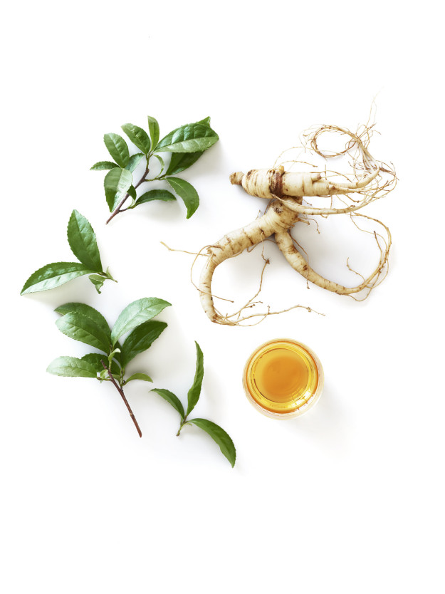 Green Tea Core Energy