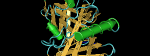 telomeres