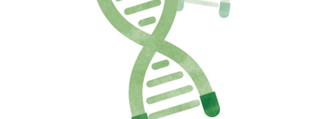 telomere pic